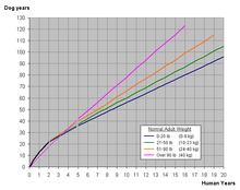 Questo grafico mostra la correlazione tra peso e durata della vita.