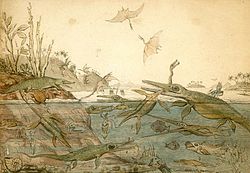 Geolog Henry De la Beche namaloval v roce 1830 vlivný akvarel Duria Antiquior, který byl z velké části založen na zkamenělinách nalezených Anningem.