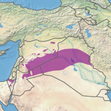 The ecoregion known in English as the Mesopotamian shrub desert. The historical term Mesopotamian Desert is not well defined and overlaps to a large extent with the Syrian Desert.