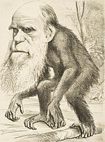 Com a aceitação do darwinismo nos anos 1870, as caricaturas de Charles Darwin com um corpo de macaco simbolizavam a evolução.