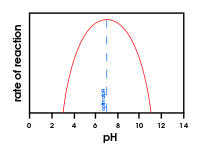 Grafiek van het effect van een veranderende pH op de enzymactiviteit