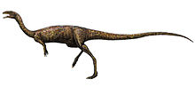 Restauração da vida do Elaphrosaurus