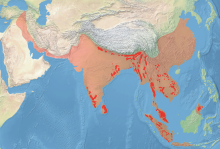 Original (light red) and present (deep red) range of the Asian elephant