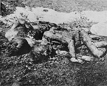 I corpi dei prigionieri giustiziati dagli Ustaše a Jasenovac