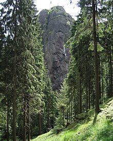 Falkenstein in the Thuringian Forest