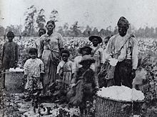 Tot slaaf gemaakte Afro-Amerikanen in Georgia  
