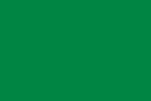 La antigua bandera de Libia durante el régimen de Muamar Gadafi era un simple campo verde.  