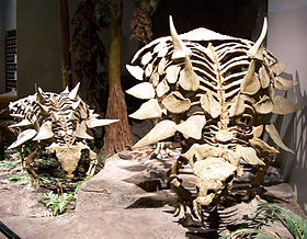 Skeletreconstructies van Gastonia in het Utah Museum of Ancient Life