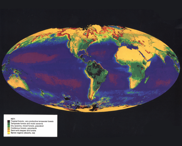 Mappa della vegetazione globale. I luoghi più oscuri sono la foresta pluviale