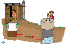 Plakat edukacyjny pokazujący, w jaki sposób wody gruntowe mogą zostać skażone patogenami pochodzącymi z odchodów. Toksyny te wywołują choroby, gdy ludzie piją wodę.