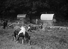 Walesin romanien leiri Swansean lähellä, 1953. (Kuvan nimi: Mustalaiset leiriytymässä.)  