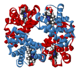 Et bånddiagram er en måde, hvorpå biokemikere beskriver proteiners form. Dette bånddiagram er af proteinet hæmoglobin, som er det røde stof i blodet. Det er ansvarligt for at transportere ilt.  