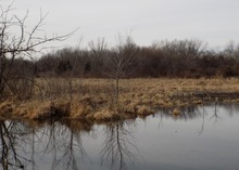Een beeld van de Haskell-Baker Wetlands tijdens de winter, kijkend naar het noorden (2017).