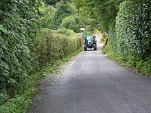 Tailler la haie à la machine