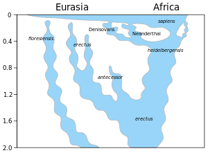 H. sapiens atsiradimo iš ankstesnių Homo rūšių schema. Horizontalioji ašis rodo geografinę vietą, vertikalioji - laiką prieš milijonus metų. Mėlyni plotai rodo buvimą tam tikru laiku ir tam tikroje vietoje.