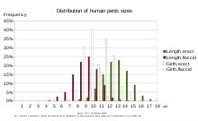 人間のペニスサイズの分布