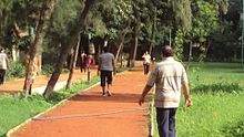 Il jogging può essere ovunque, ad esempio nel parco