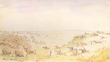 Métis hunting buffalo, sketch by the Canadian painter Paul Kane from 1846.