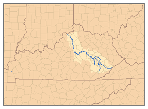 Karte der Wasserscheide des Kentucky River, die die Nebenflüsse North Fork, Middle Fork und South Fork zeigt.