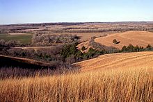 De Flint Hills in het oosten van Kansas  