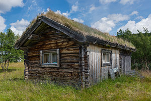 Tradycyjny dach z sodomy w Ljungris, Szwecja