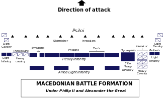 Macedonische gevechtsformatie. De hypaspisten, elite zware infanterie, worden verkeerd gelabeld als elite zware cavalerie.