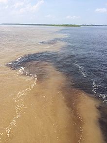 Visible demarcation between the light Amazon water and the dark water of its tributary Rio Negro