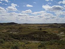Montana Badlands (Hell Creek Formation) . 