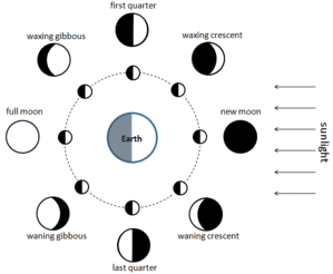Diagrama das fases da Lua: A Terra está no centro do diagrama e a Lua é mostrada em órbita (círculo tracejado). O Sol ilumina metade da Lua e a Terra a partir do lado direito. A fase da Lua é mostrada ao lado da posição correspondente da Lua em sua órbita ao redor da Terra. A fase é como vista no hemisfério norte da Terra.