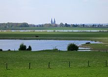 Rhine meadow near Bislich with view over to Xanten
