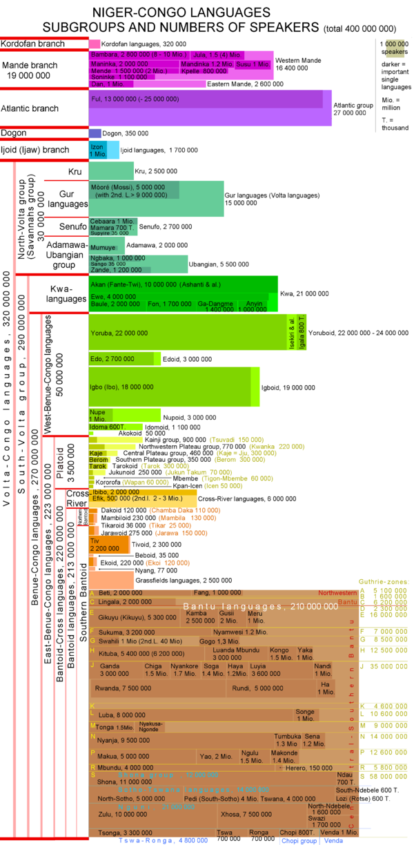 Subgrupos e importantes idiomas únicos da família de idiomas Niger-Congo.