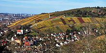 The mild city climate and the hillside locations make winegrowing possible in the middle of Stuttgart, as here in Obertürkheim.