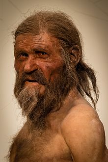 Reconstrução de como Ötzi poderia ter sido, quando ele estava vivo.