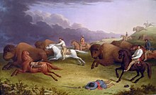 Métis on a Buffalo Hunt, oil painting by Paul Kane made from his sketches.