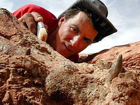 Paul Sereno bij een opgraving in 2010.  