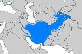 Present-day distribution of Persian in the Middle East. From the map it is clear that not all residents of Iran are native speakers of Persian and, on the other hand, Persian is the mother tongue for a large part of the population of Afghanistan and Tajikistan.