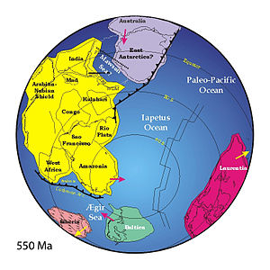Reconstructie van de manier waarop de Iapetus Oceaan en de omliggende continenten tijdens de late Ediacaranperiode zouden kunnen zijn ingericht...