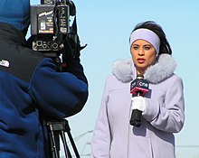 Een televisieverslaggever met een microfoon.  