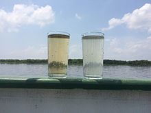 On the right the (transparent) water of the (dark) Rio Negro and on the left the (brownish) water of the Rio Solimões