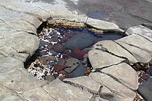 Naturally Educated Rock Pool