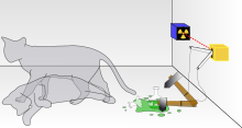 Um gato, com um contador Geiger, e um pouco de veneno numa caixa selada. A mecânica quântica diz que após algum tempo, o gato está vivo e morto. Uma pessoa que olhe para a caixa encontrará o gato vivo ou morto, no entanto, presume-se que esteja vivo e morto antes de se olhar para a caixa.