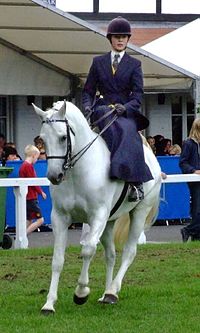 Mulher cavalgando em uma moderna classe de cavalo lateral inglês.