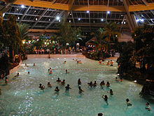 Center Parcs on laajalti tunnettu subtrooppisesta uintiparatiisistaan, ja siellä kuului ennen ikoninen Tarzan-kutsu, joka oli merkki aaltojen ryöppyämisen alkamisesta aaltoaltaassa. Tämä äänitehoste korvattiin bongorummun soitolla.  