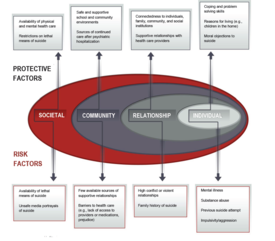 Esempi di rischio di suicidio e fattori protettivi. Fonte: Strategia nazionale 2012 per la prevenzione dei suicidi