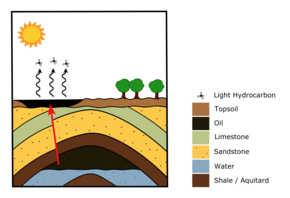 Антиклиналният капан захранва катранената яма на повърхността чрез вертикален разлом в пласта (показан с червена стрелка). След като суровия нефт достигне повърхността, се извършва изпарение и по-леките въглеводороди се изпаряват, оставяйки лепкав асфалт.  