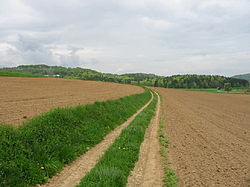 Un camino rural en Eslovenia.  