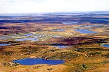 Tundra in the territory of the Nenets on the lower reaches of the Yenisei River