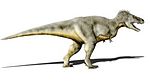 Tiranosaurio .