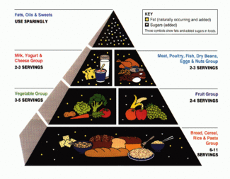 Yhdysvaltain maatalousministeriön ruokapyramidi (klikkaa suurentaaksesi).  