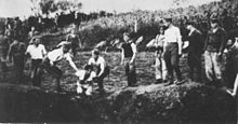 Milizia ustascia che giustizia la gente su una fossa comune vicino al campo di concentramento di Jasenovac.